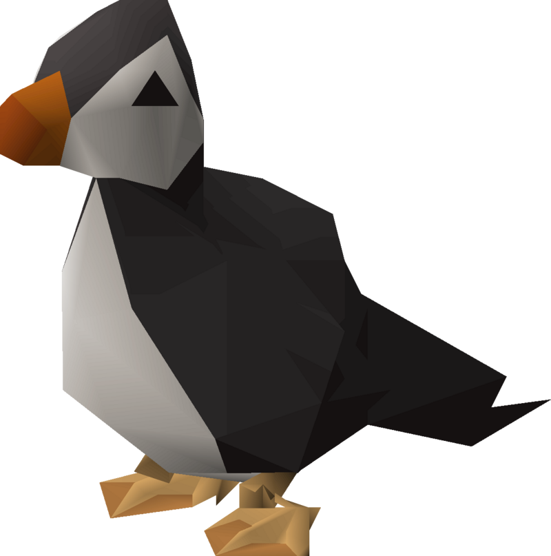 Puffin